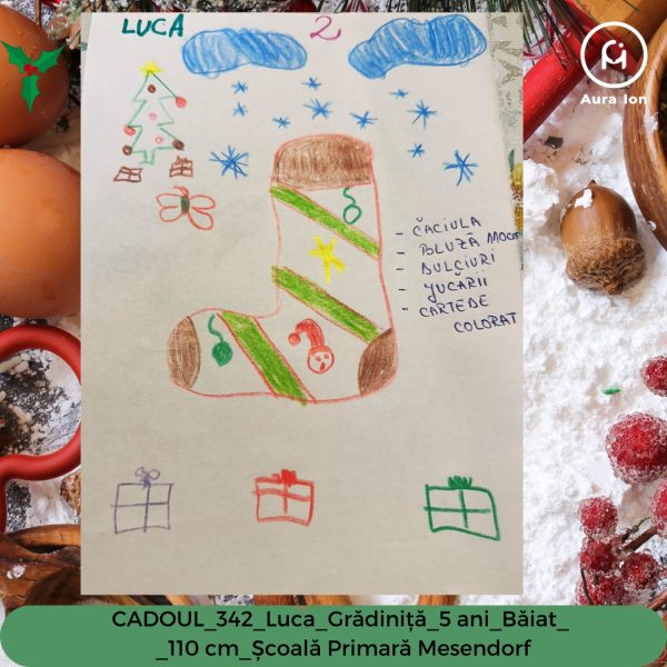 CADOUL_342_Luca_GRADINITA_5 ani_Băiat__110 cm_Școală Primară Mesendorf