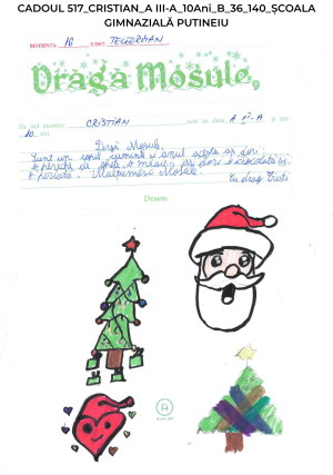 CADOUL 517_CRISTIAN_A III-A_10Ani_B_36_140