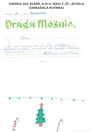 CADOUL 542_ELENA_A IV-A_13Ani_F_37_