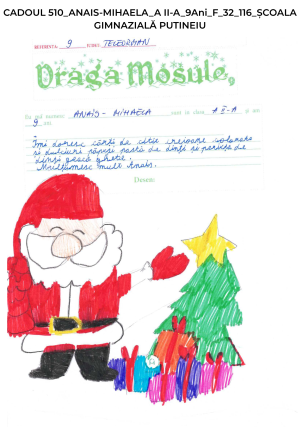 CADOUL 510_ANAIS-MIHAELA_A II-A_9Ani_F_32_116