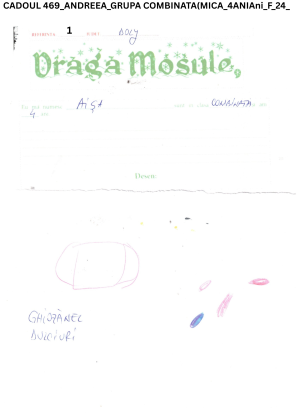 CADOUL 471_BOGDAN_GRUPA COMBINATA(MICA_3ANIAni_M_24_