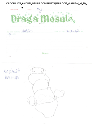 CADOUL 475_ANDREI_GRUPA COMBINATA(MIJLOCIE_4 ANIAni_M_29_