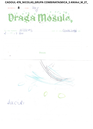 CADOUL 476_NICOLAS_GRUPA COMBINATA(MICA_3 ANIAni_M_27_