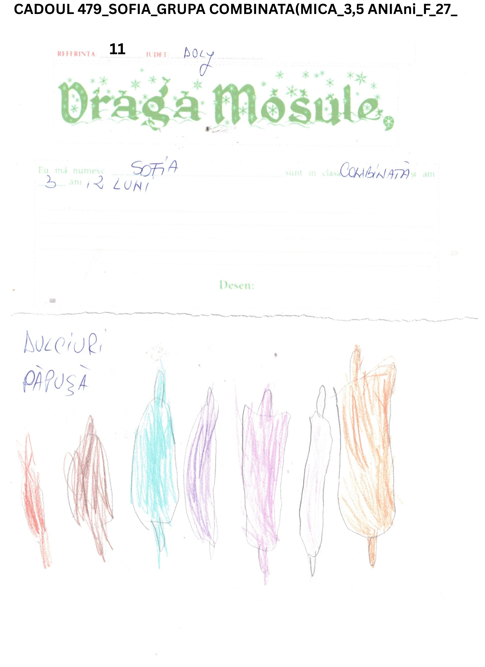 CADOUL 479_SOFIA_GRUPA COMBINATA(MICA_3,5 ANIAni_F_27_