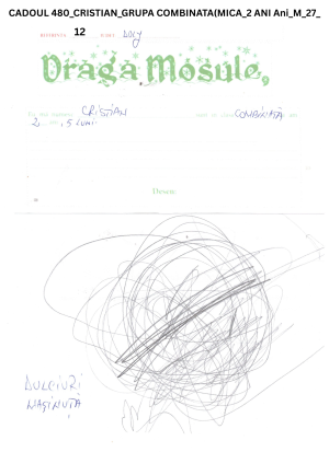 CADOUL 480_CRISTIAN_GRUPA COMBINATA(MICA_2 ANI Ani_M_27_