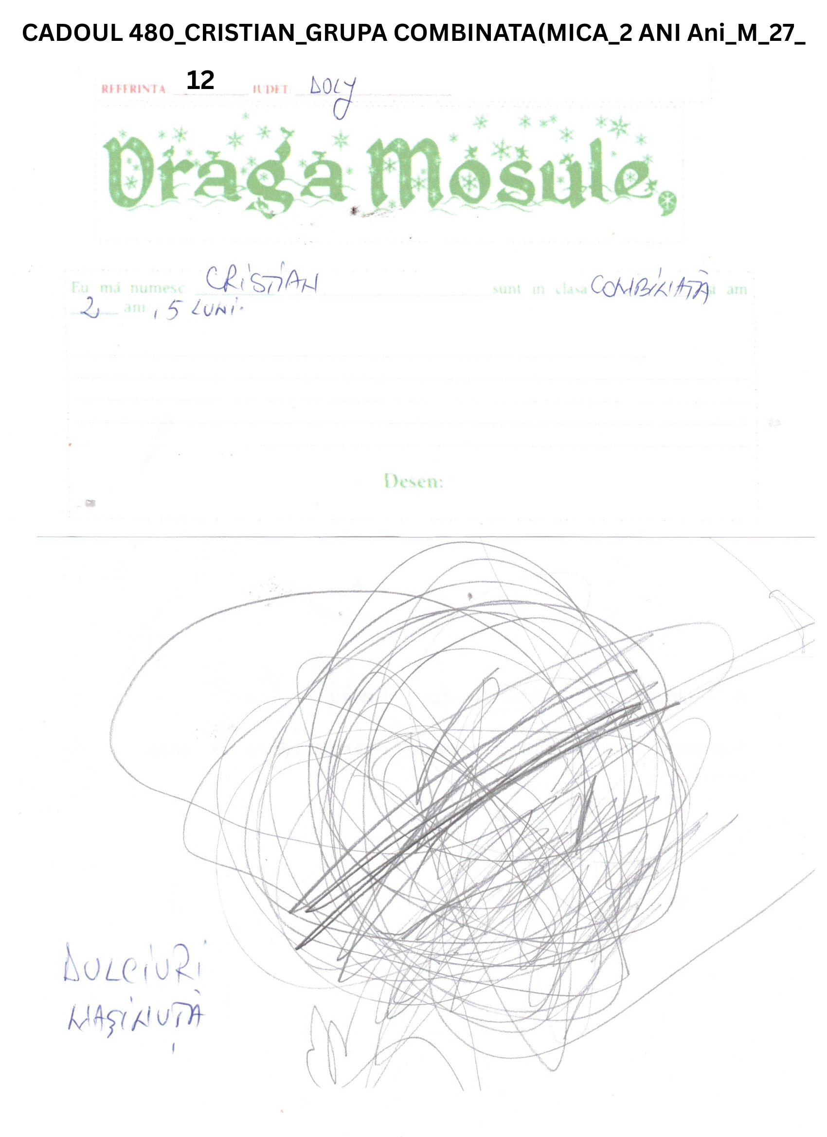 CADOUL 480_CRISTIAN_GRUPA COMBINATA(MICA_2 ANI Ani_M_27_