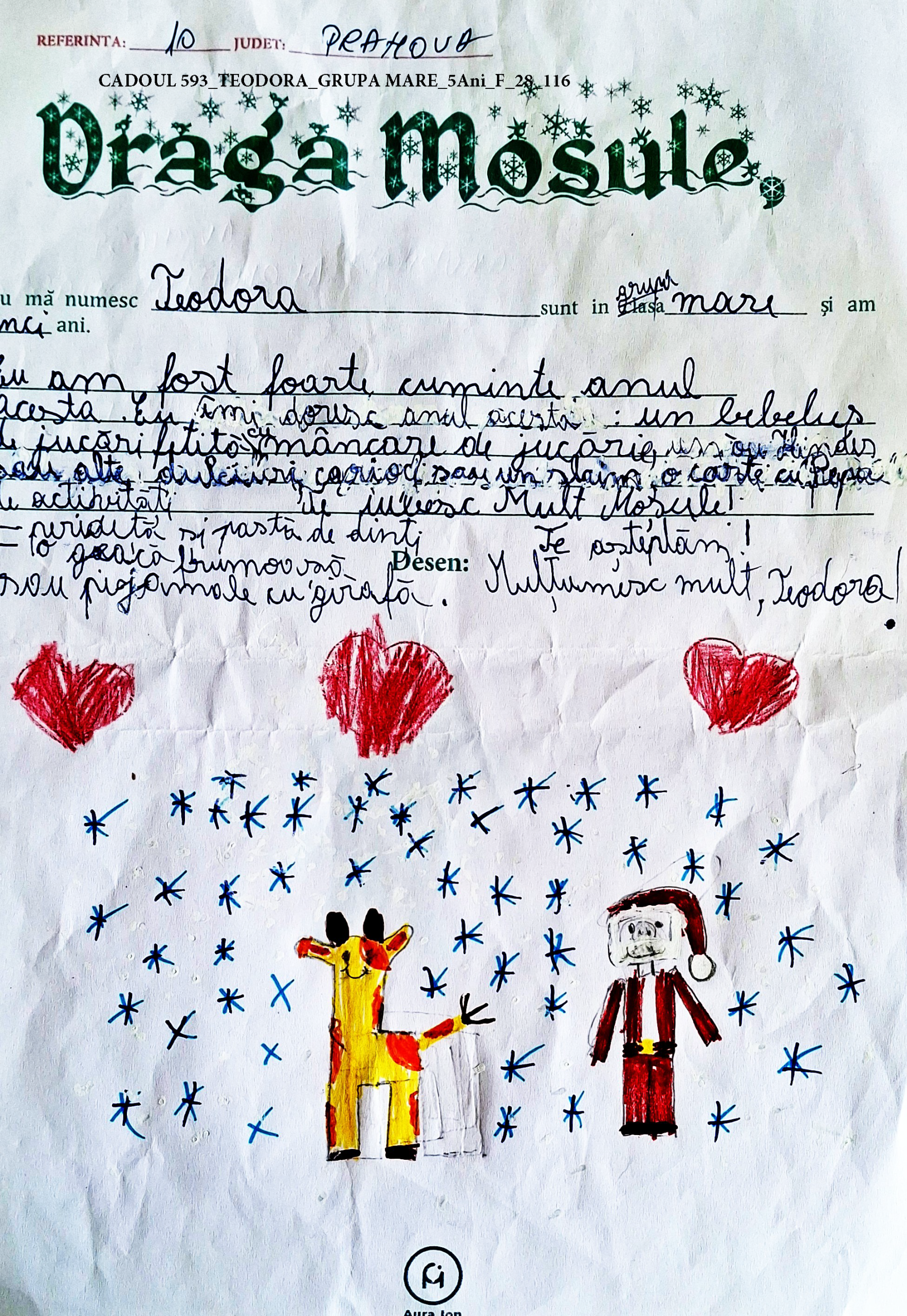 CADOUL 593_TEODORA_GRUPA MARE_5Ani_F_28_116