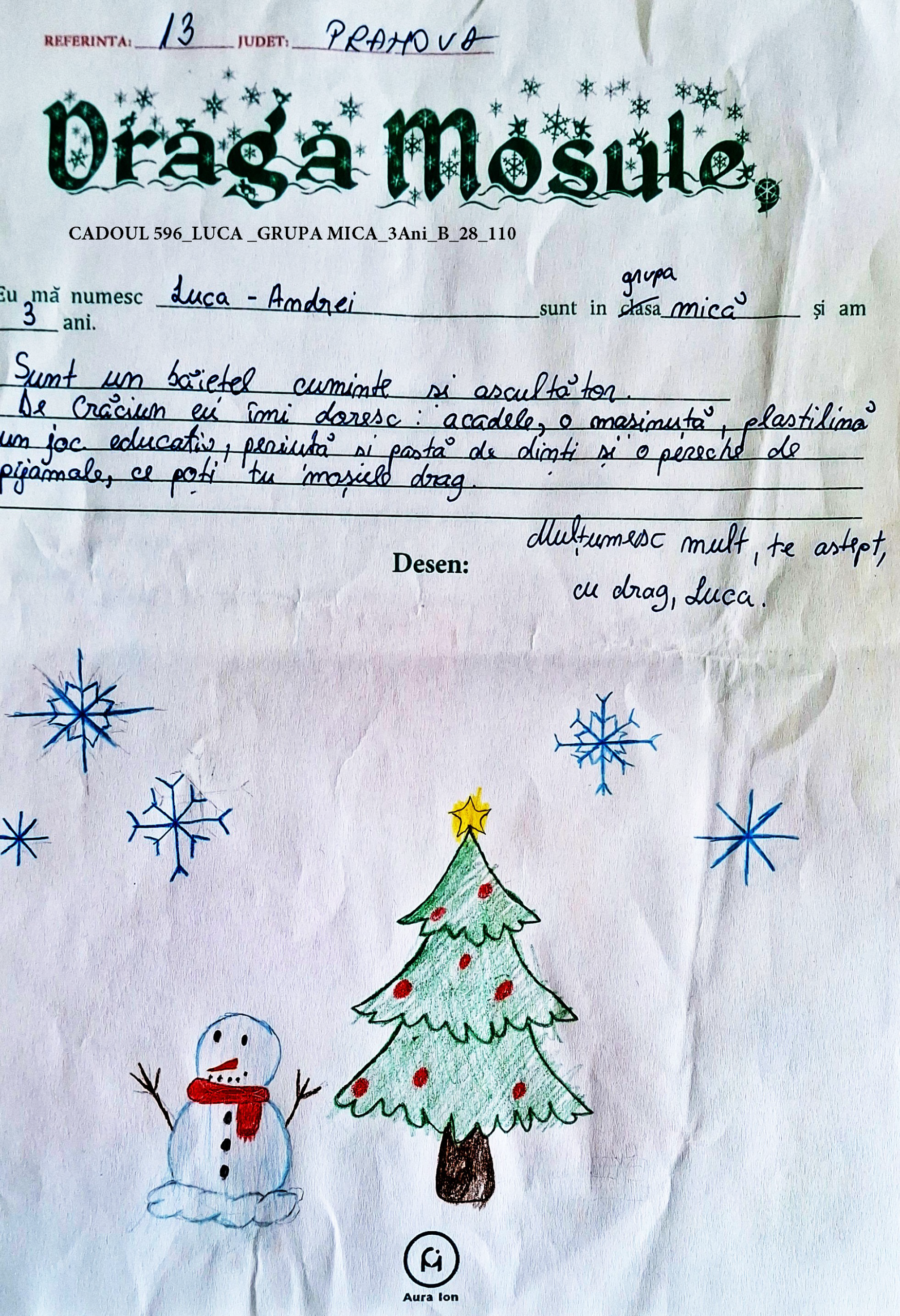 CADOUL 596_LUCA _GRUPA MICA_3Ani_B_28_110