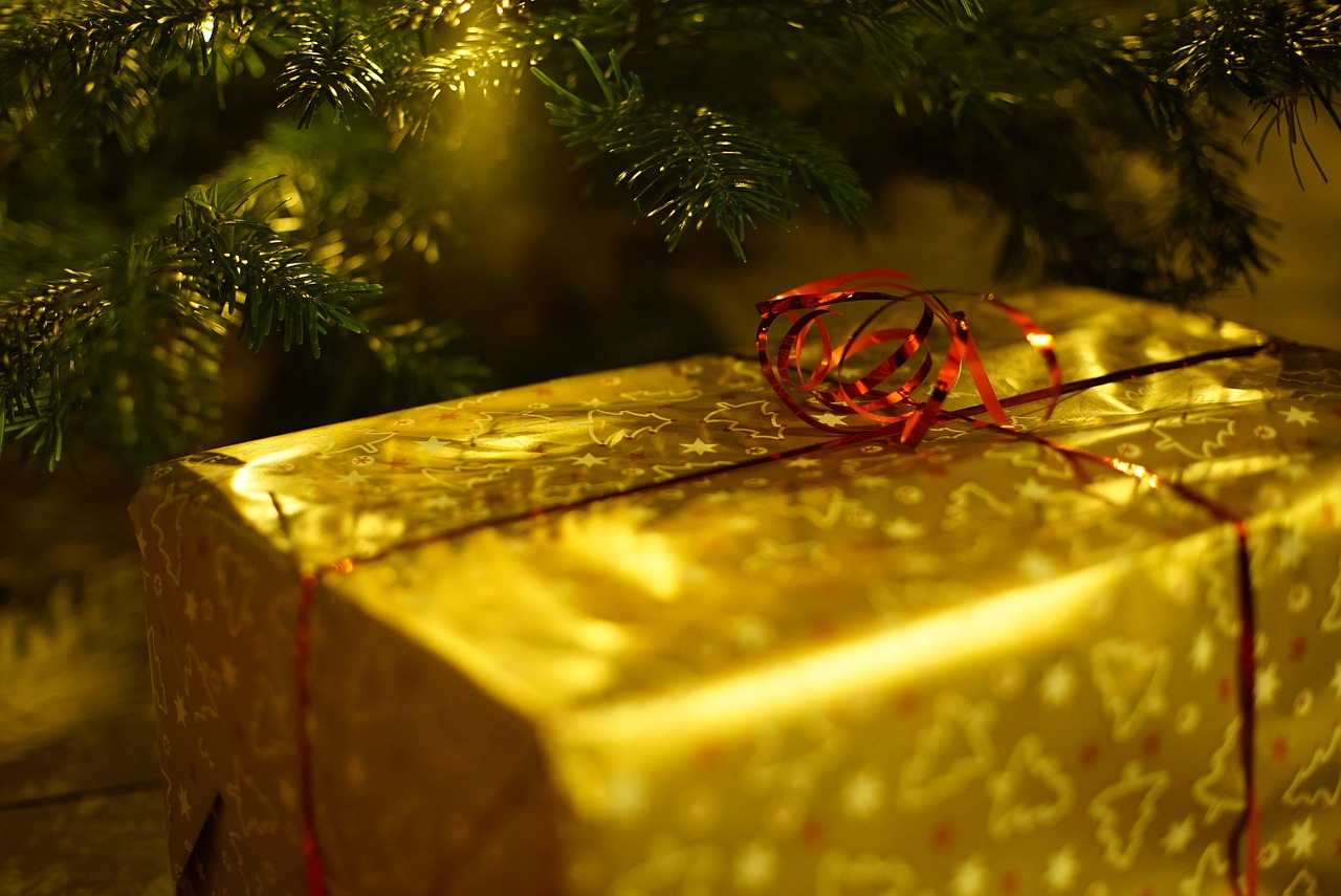 christmas, gift, decoration-1786558.jpg