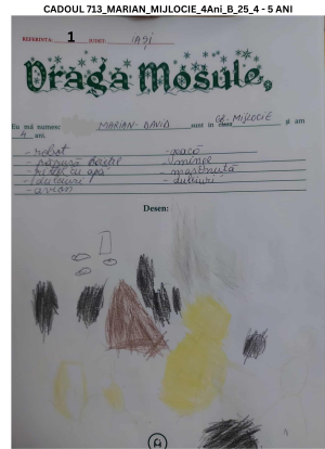 CADOUL 713_MARIAN_GRUPA MIJLOCIE_4Ani_B_25_4 - 5 ANI