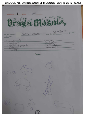 CADOUL 715_DARIUS ANDREI_GRUPA MIJLOCIE_5Ani_B_26_5 - 6 ANI