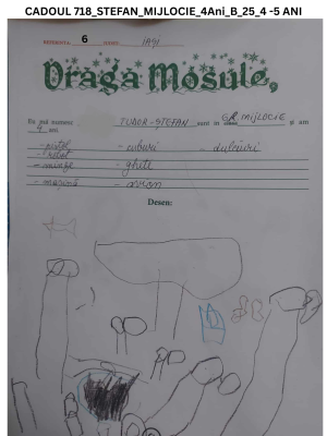 CADOUL 718_STEFAN_GRUPA MIJLOCIE_4Ani_B_25_4 -5 ANI