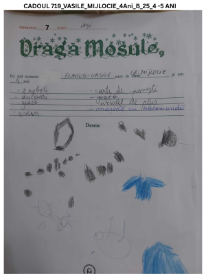 CADOUL 719_VASILE_GRUPA MIJLOCIE_4Ani_B_25_4 -5 ANI