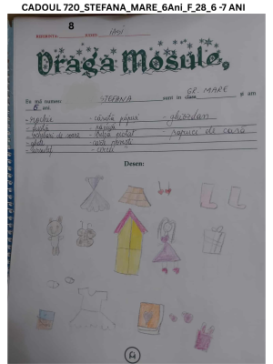 CADOUL 720_STEFANA_GRUPA MARE_6Ani_F_28_6 -7 ANI