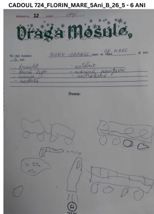 CADOUL 724_FLORIN_GRUPA MARE_5Ani_B_26_5 - 6 ANI