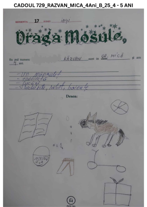 CADOUL 729_RAZVAN_GRUPA MICA_4Ani_B_25_4 - 5 ANI