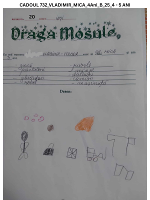CADOUL 732_VLADIMIR_GRUPA MICA_4Ani_B_25_4 - 5 ANI
