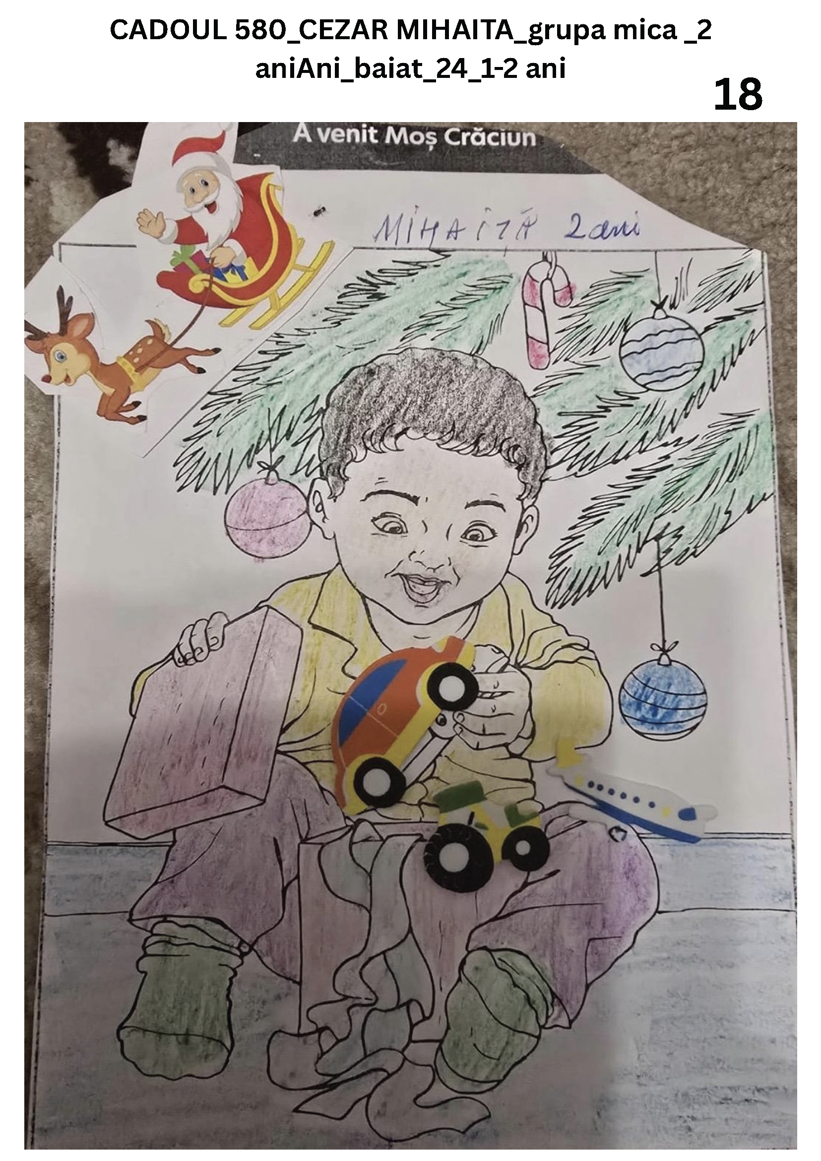 CADOUL 580_CEZAR MIHAITA_grupa mica _2 aniAni_baiat_24_1-2 ani