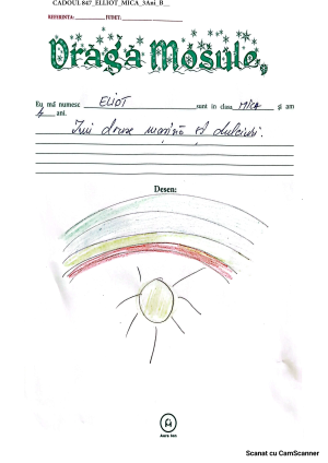 CADOUL 847_ELLIOT_MICA_3Ani_B__