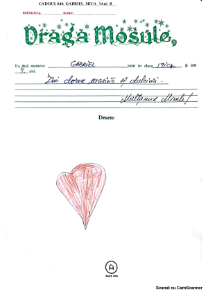 CADOUL 848_GABRIEL_MICA_3Ani_B__