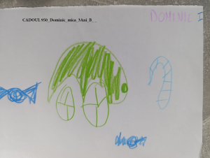 CADOUL 950_Dominic_mica_3Ani_B_ _ 