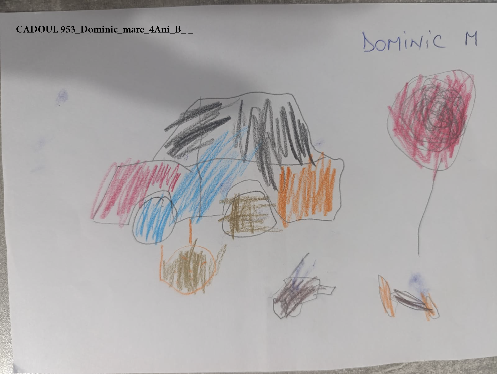 CADOUL 953_Dominic_mare_4Ani_B_ _