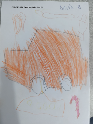 CADOUL 958_David_mijlocie_4Ani_B_ _ 