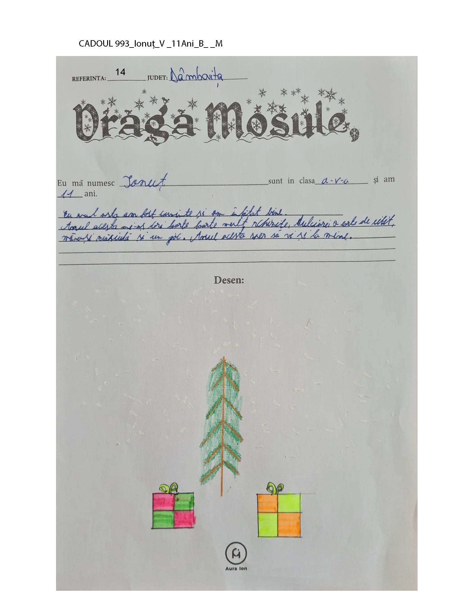 CADOUL 993_Ionuț_V _11Ani_B_ _M