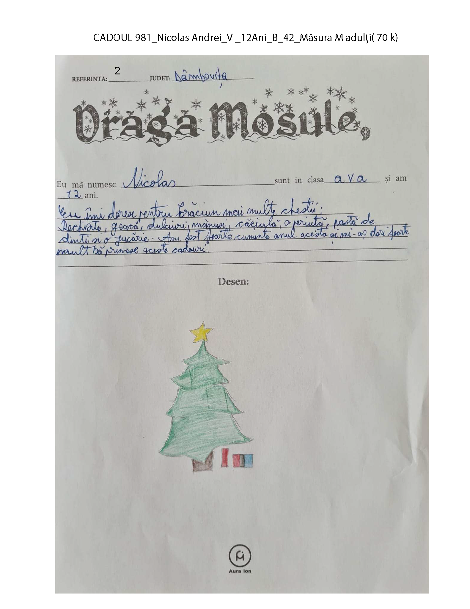 CADOUL 981_Nicolas Andrei_V _12Ani_B_42_Măsura M adulți( 70 k)