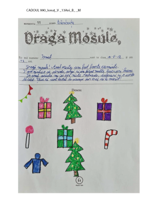 CADOUL 990_Ionuț_V _13Ani_B_ _M