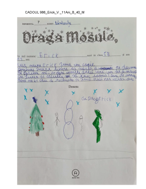 CADOUL 986_Erick_V _11Ani_B_40_M