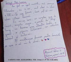 CADOUL 1049_ALEXANDRA_VIII_14Ani_F_37-38_S (SLABĂ)